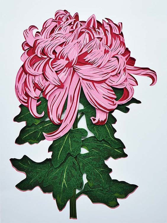 菊花