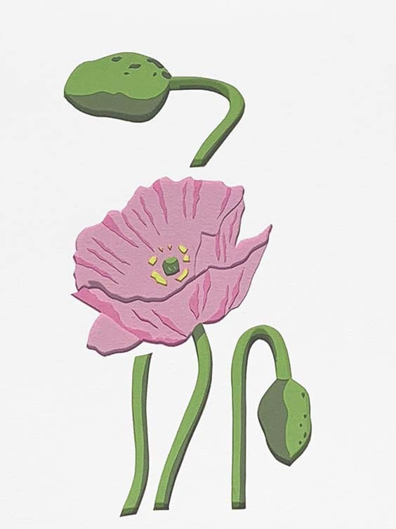 ヒナゲシ