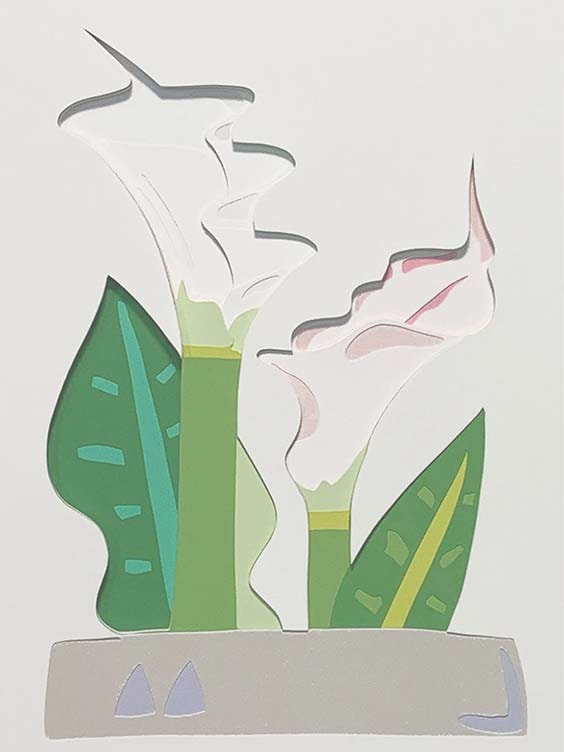カラー